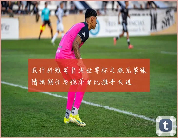 武什科维奇首次世界杯之旅无紧张情绪期待与德泽尔比携手共进