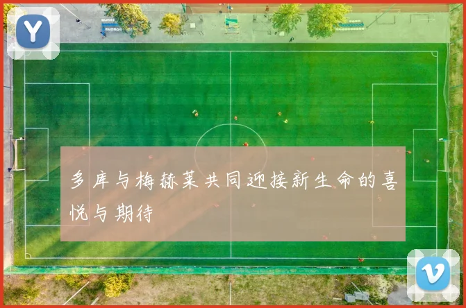 多库与梅赫莱共同迎接新生命的喜悦与期待