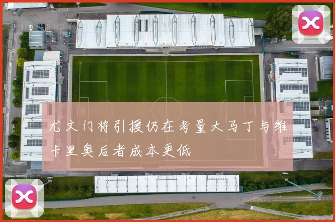 尤文门将引援仍在考量大马丁与维卡里奥后者成本更低